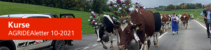 AGRIDEAletter Header Image