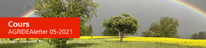 AGRIDEAletter Header Image