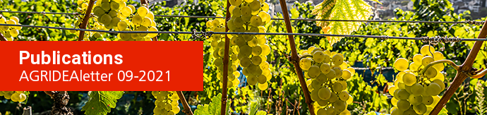 AGRIDEAletter Header Image