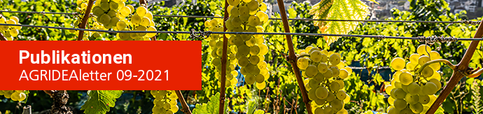 AGRIDEAletter Header Image