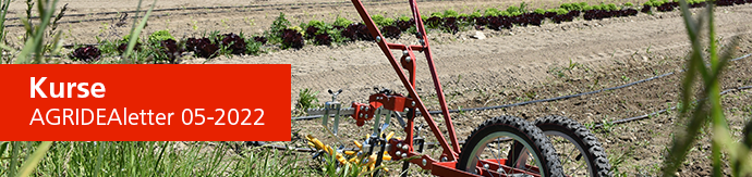 AGRIDEAletter Header Image