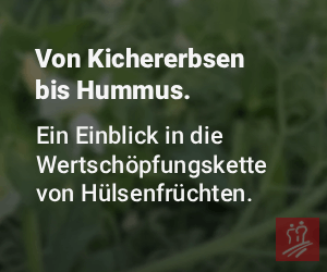 News Bild