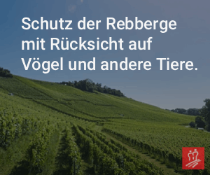 News Bild