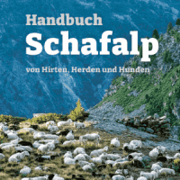 News Bild